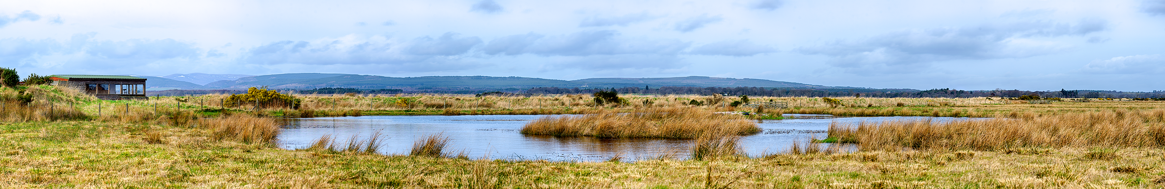 RSPB - Nigg Nature Reserve