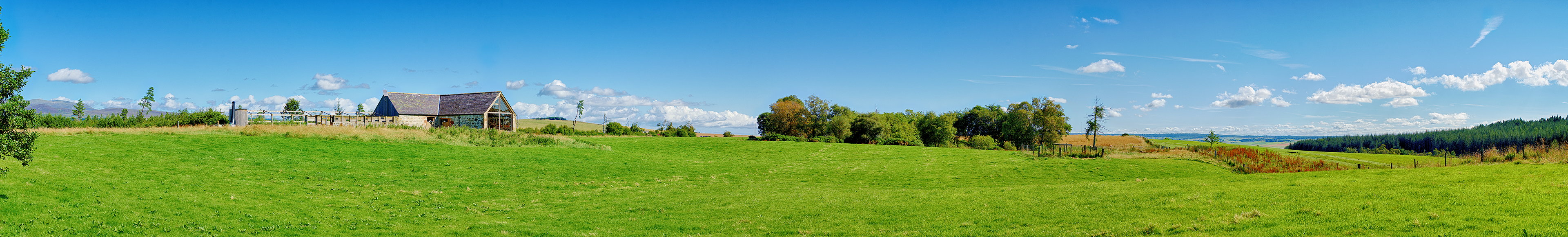 RSPB - Tollie Red Kite Reserve 