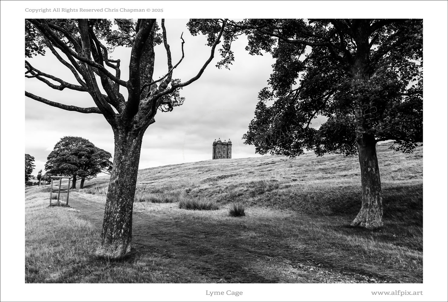 View of Lyme Cage atop Lyme Hill. Disley, Cheshire, UK. National Trust. Photographed through trees in foreground.