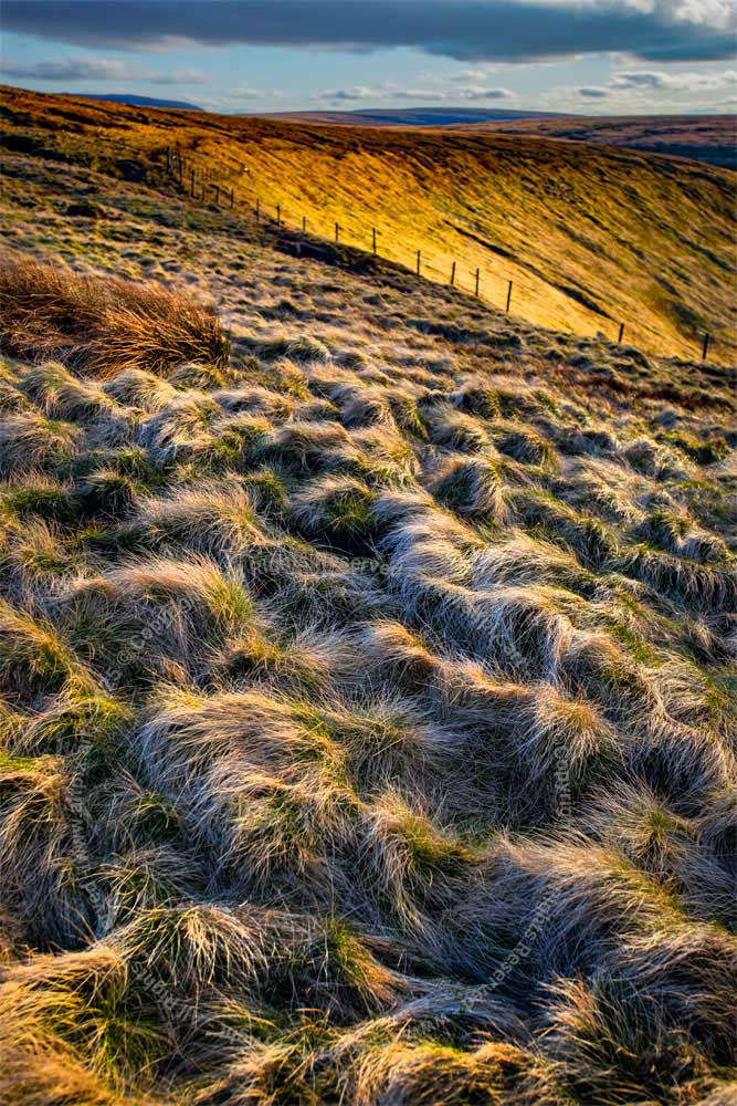 Crooked Clough. Near Bleaklow. Peak District National Park. UK. colour image.