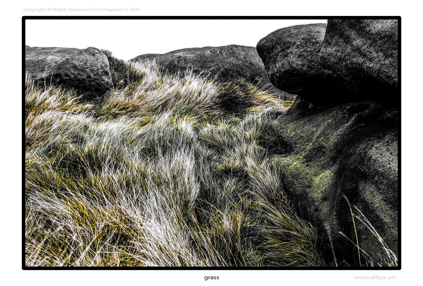 Grass. Gritstone. fog sky. colour image. alfpix.art chris chapman. 2025