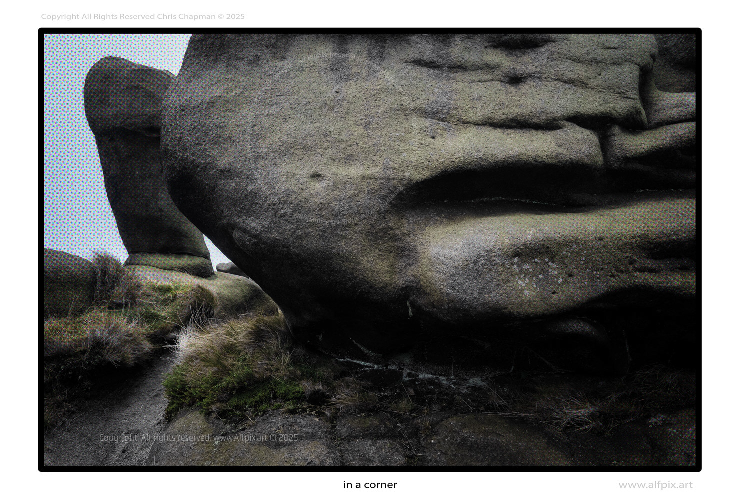 In a corner. colour image. blue sky. grass. rocks. 