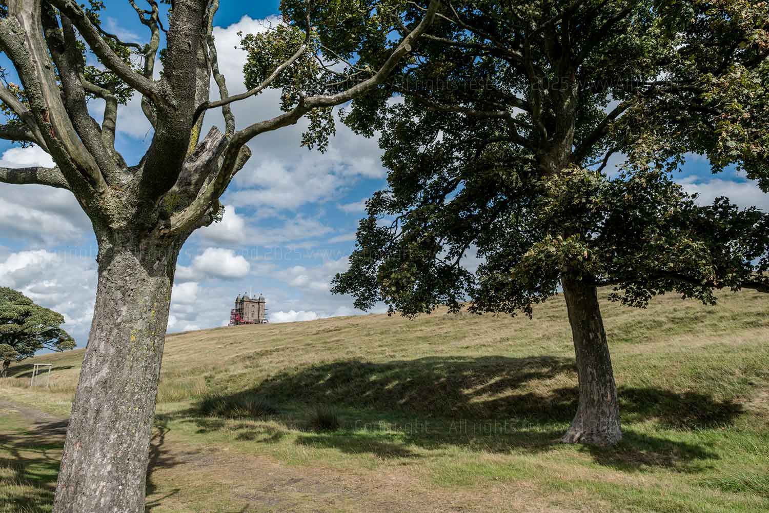View of Lyme Cage atop Lyme Hill. Disley, Cheshire, UK. National Trust. Photographed through trees in foreground.