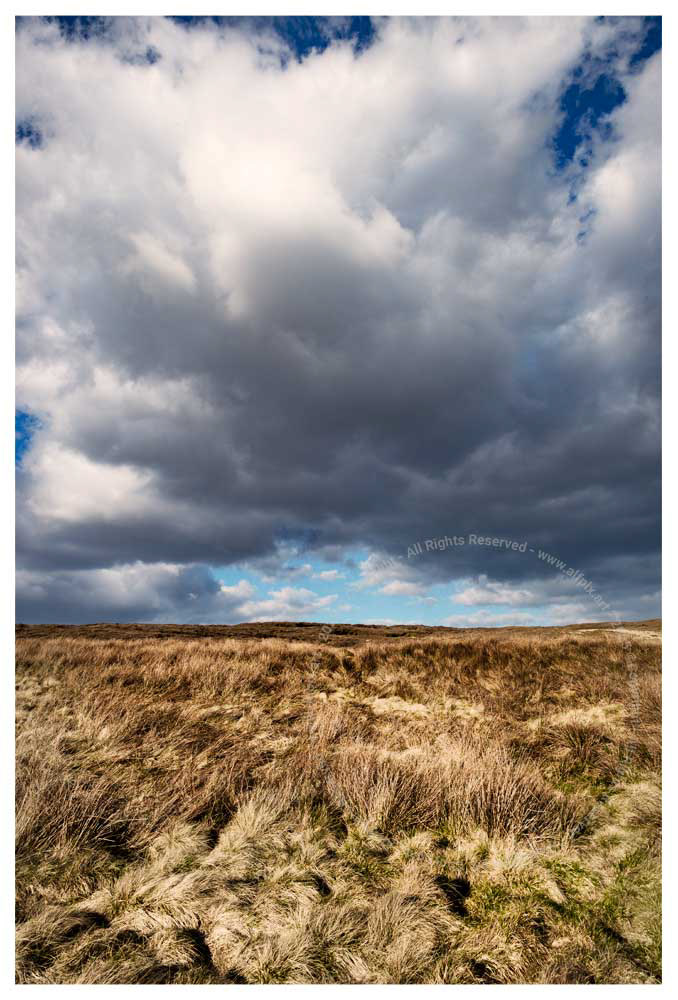 Moor and Sky. Near Bleaklow. Peak District. UK.