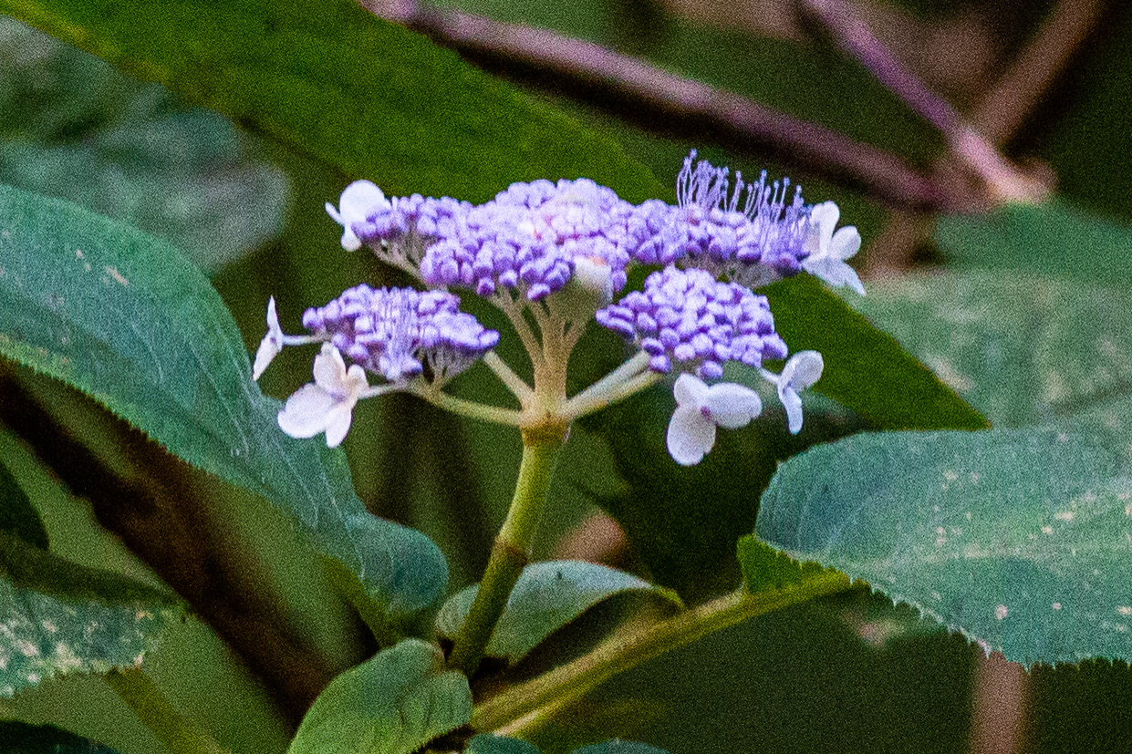 14)