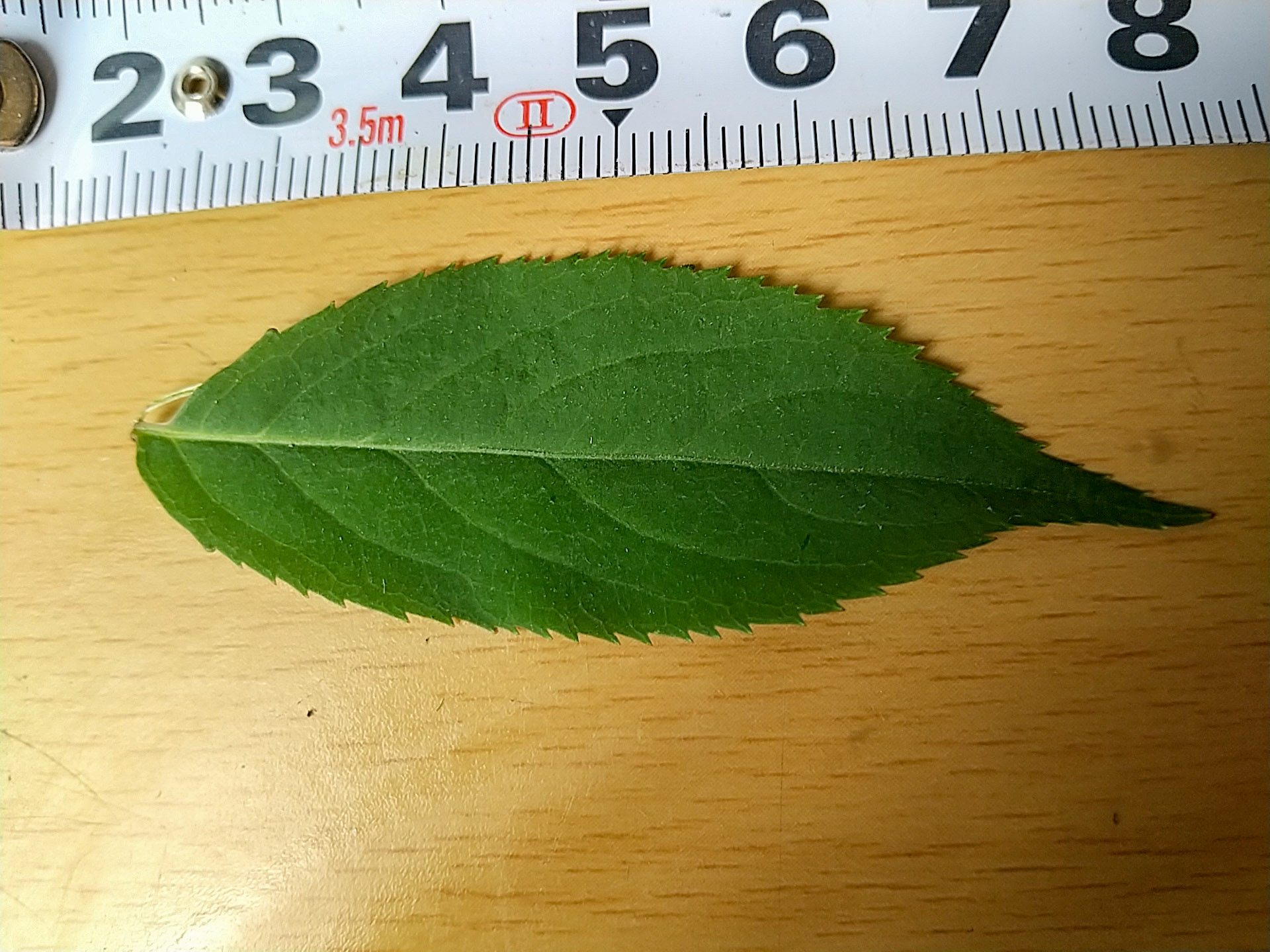 9)