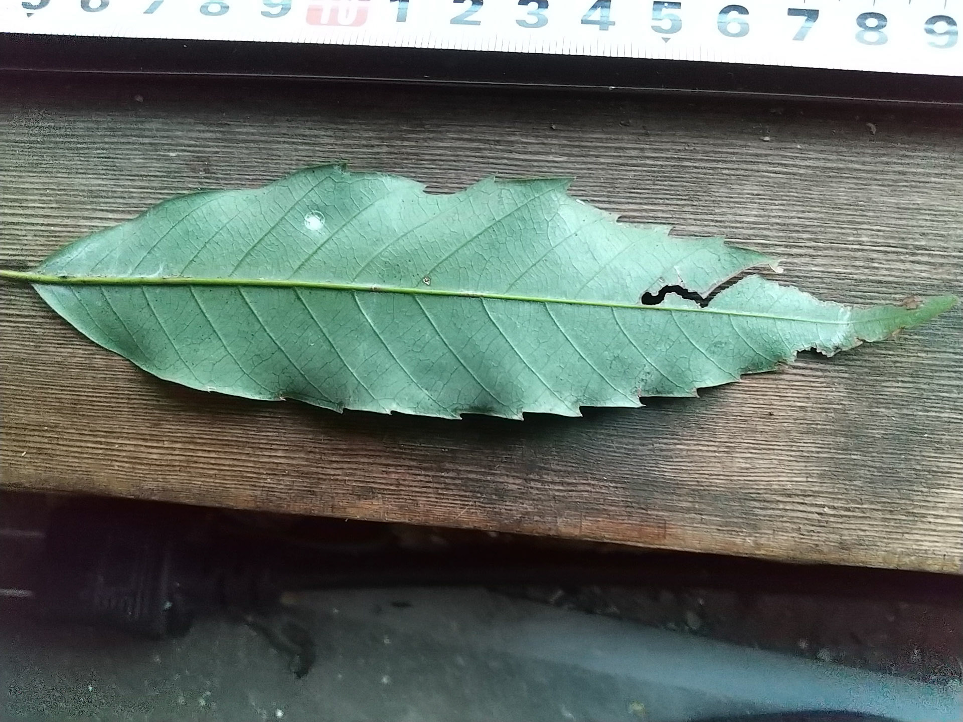 9)