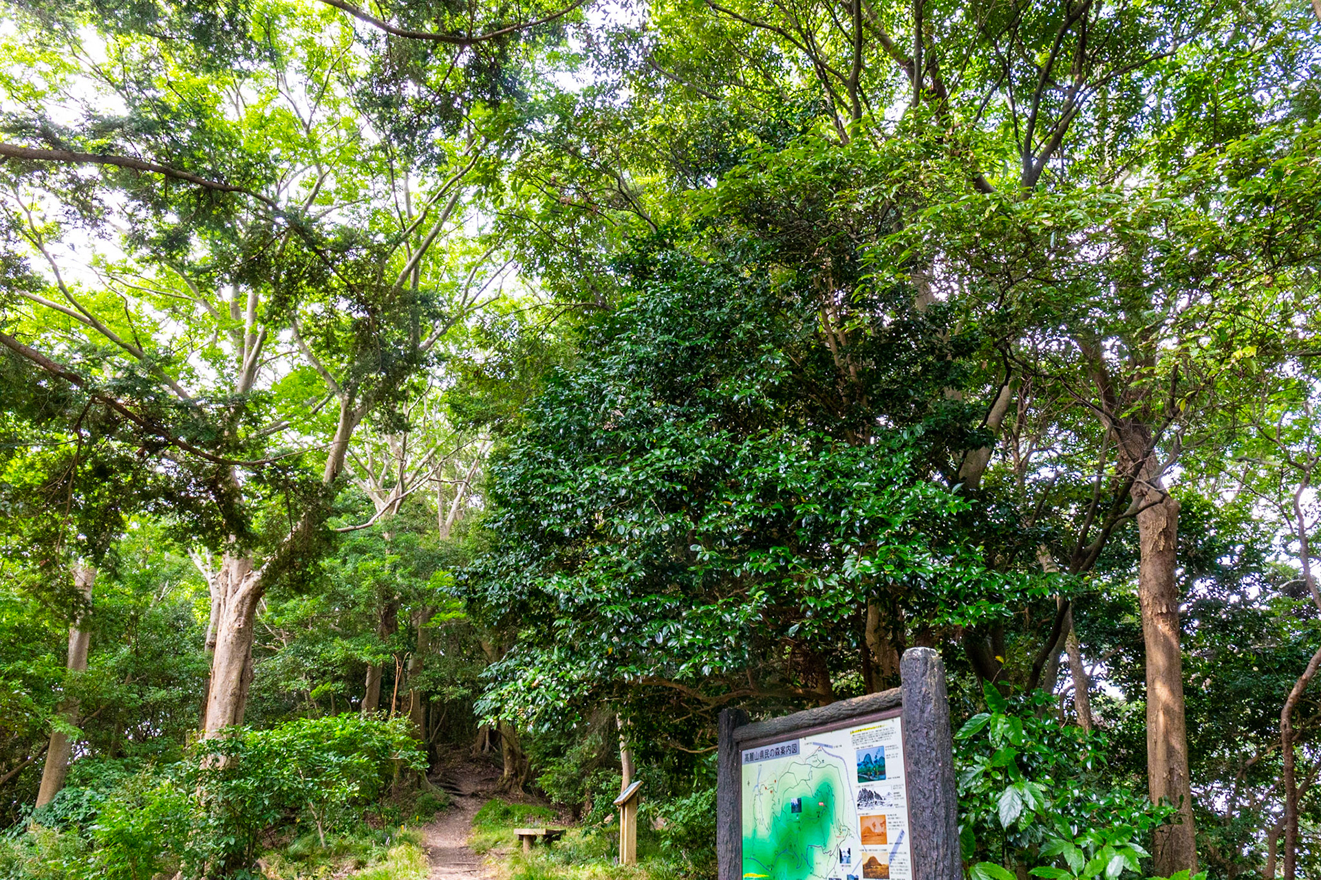 1)尾根の東端の広場