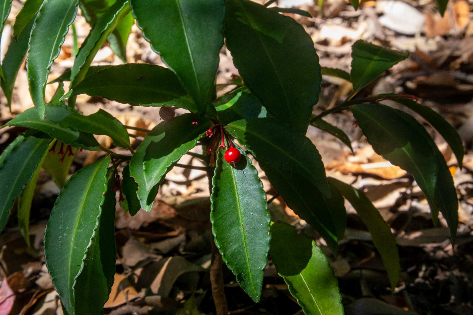 14)