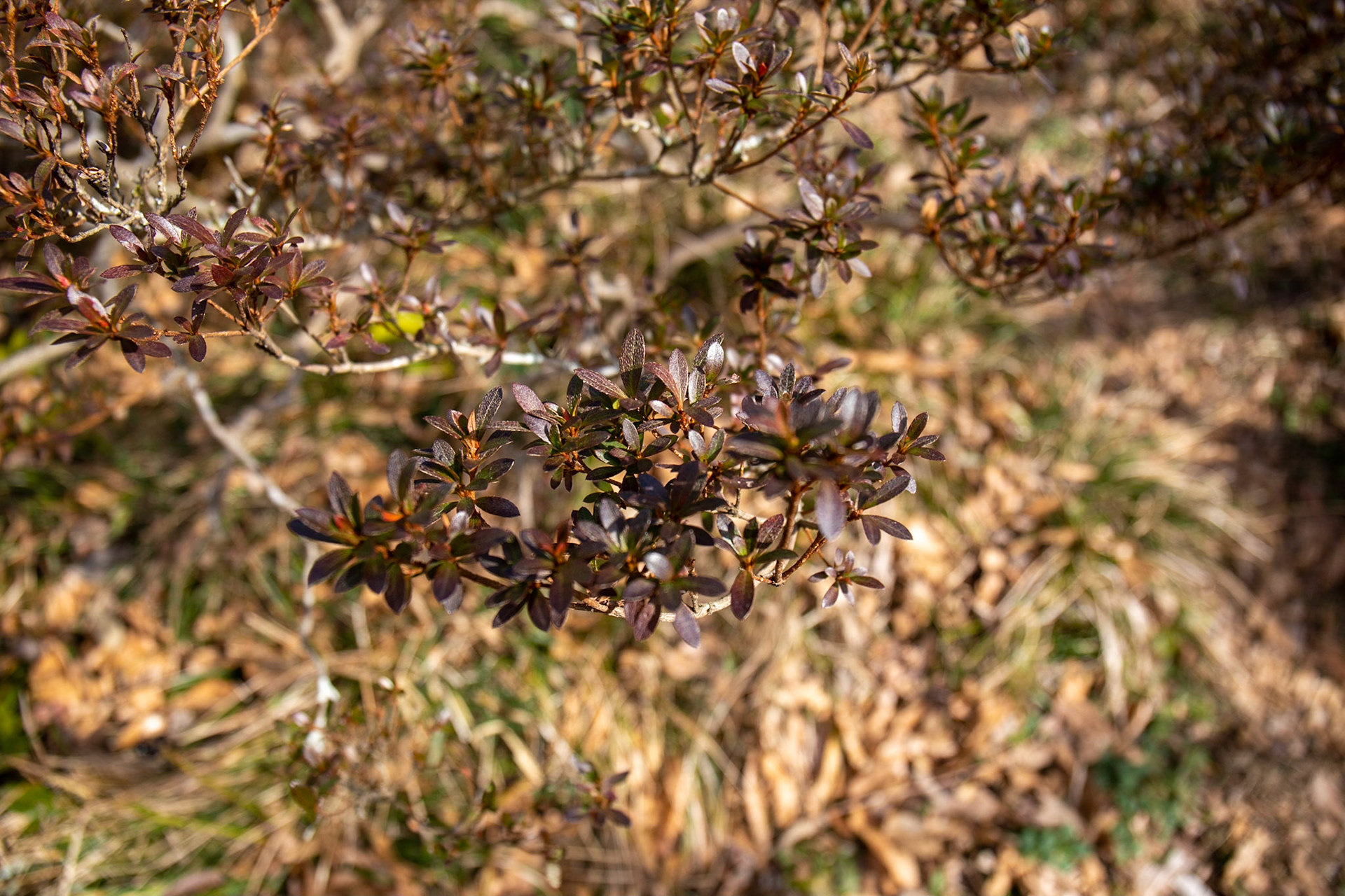 7)