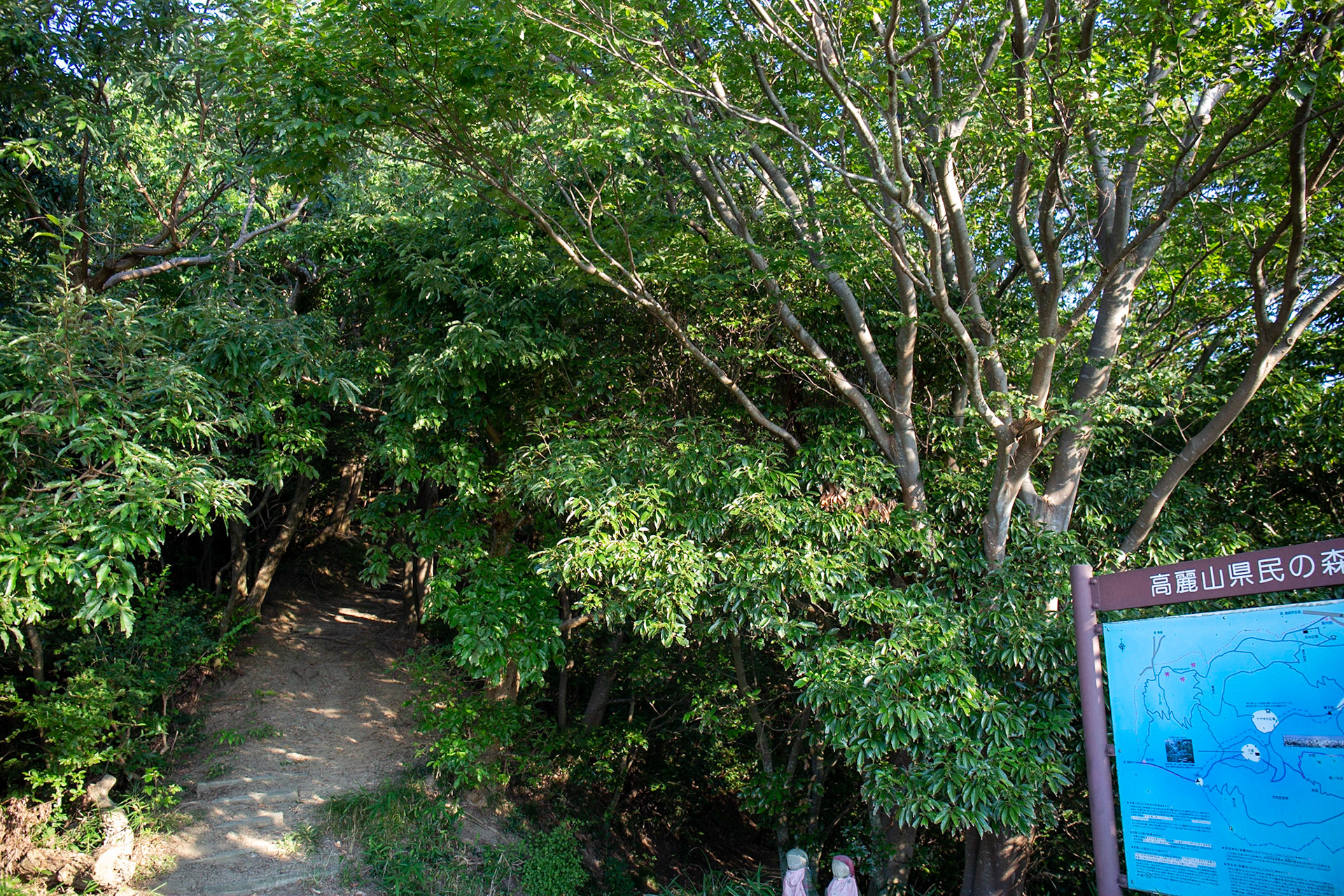 2) 樹形(下の樹)