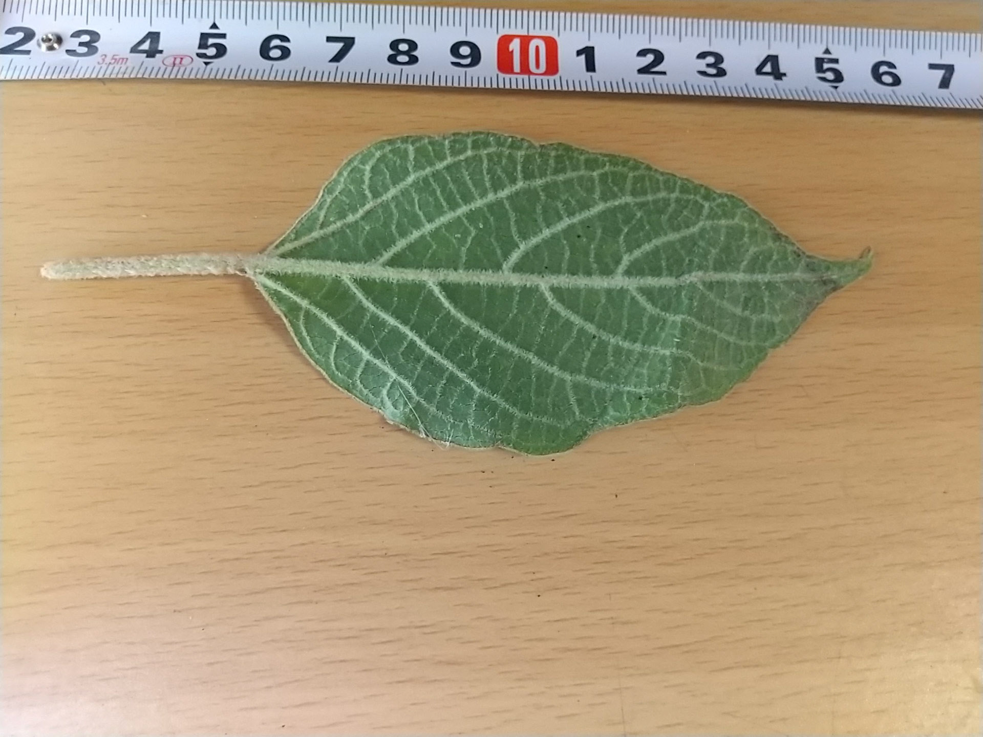12)