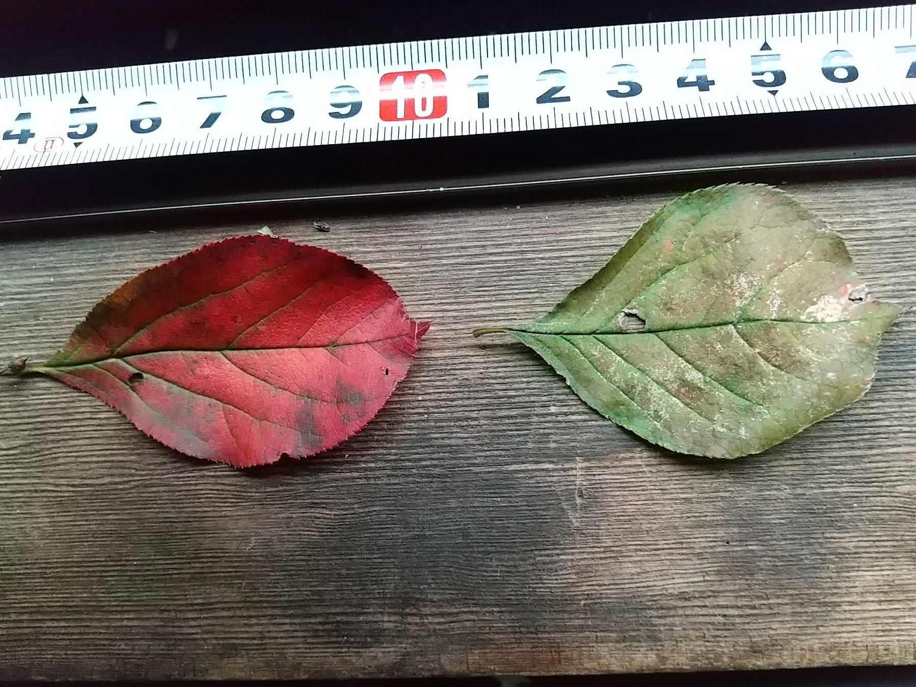 7)