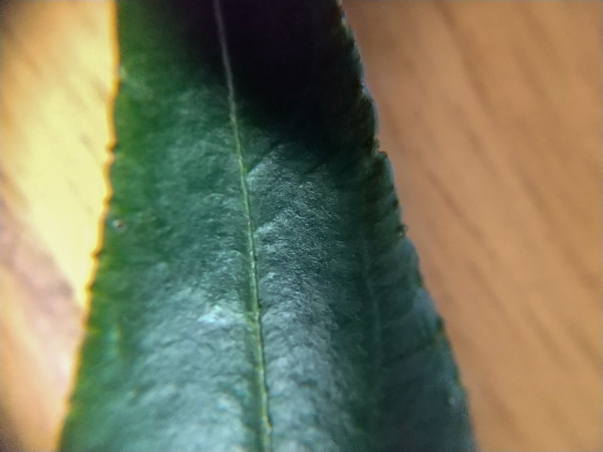 9)