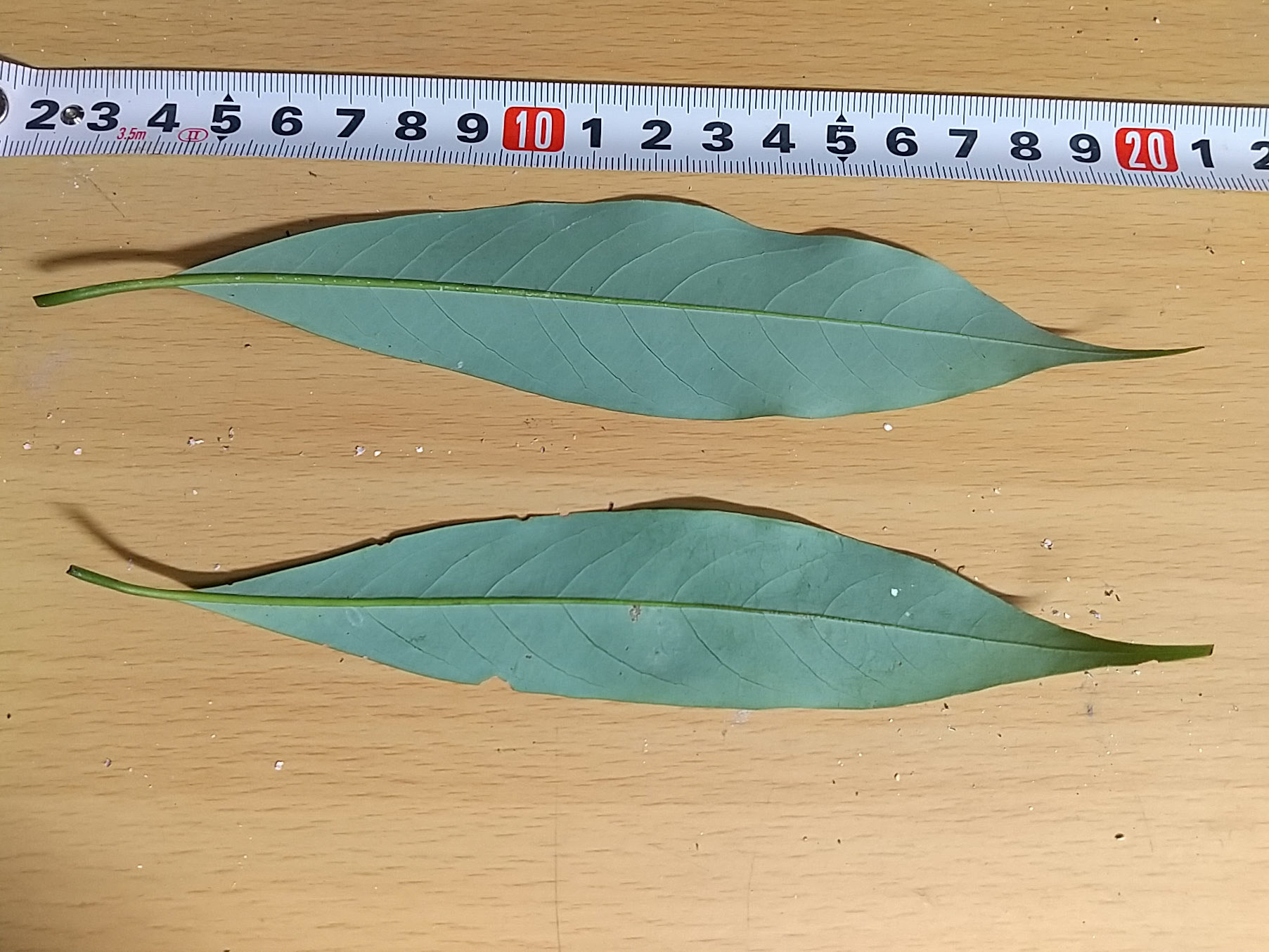 7)