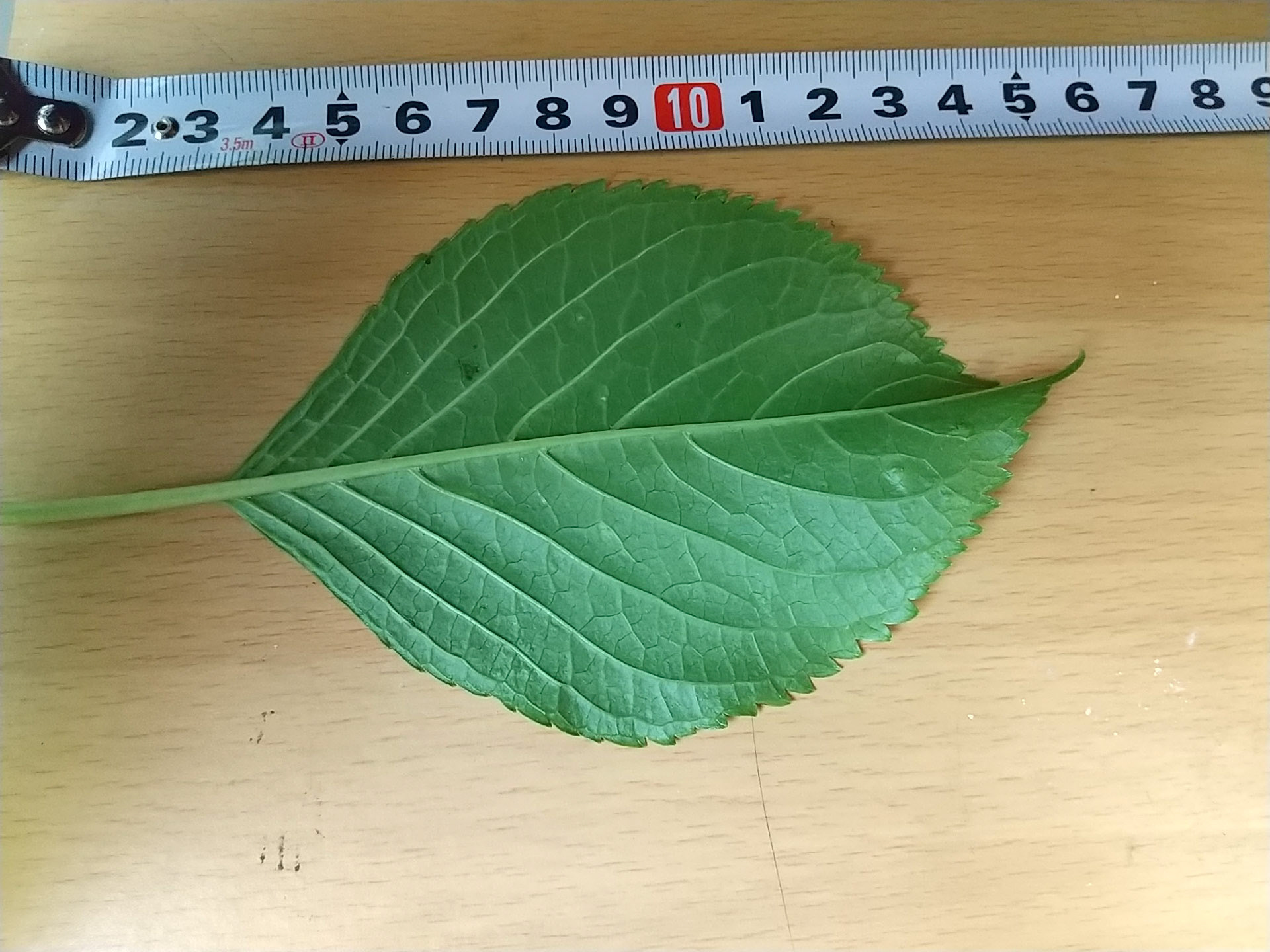 9)
