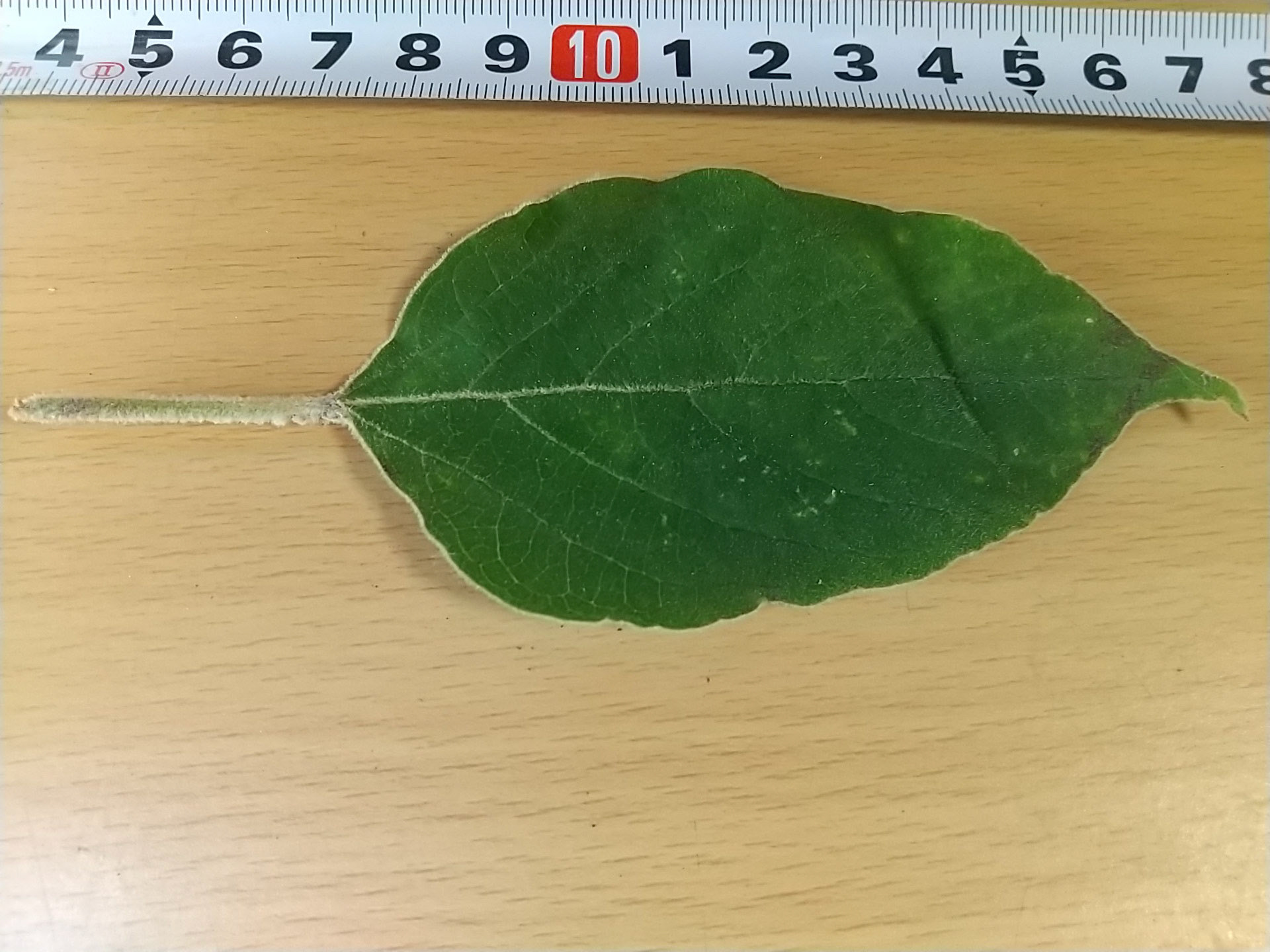 11)