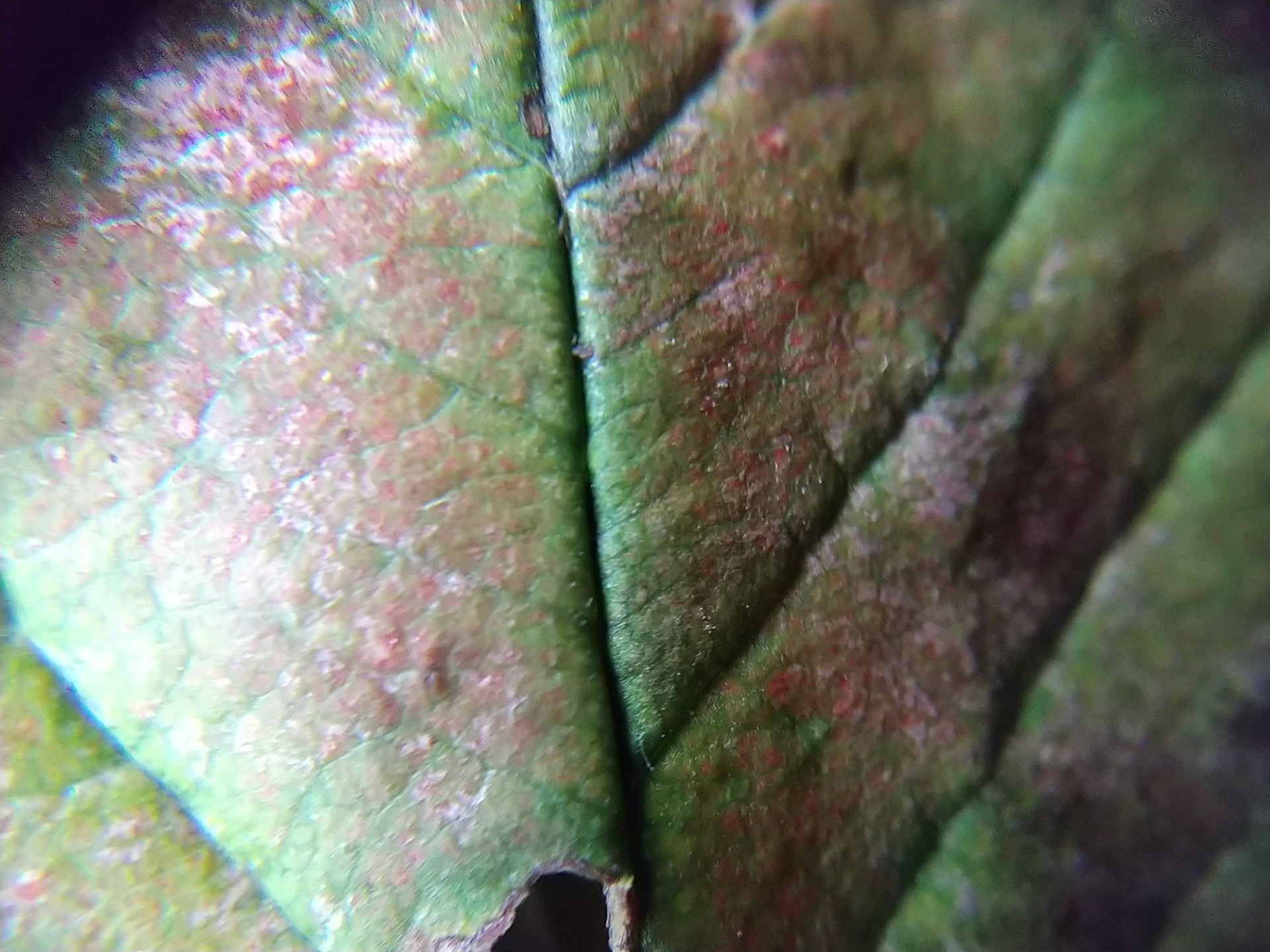9)