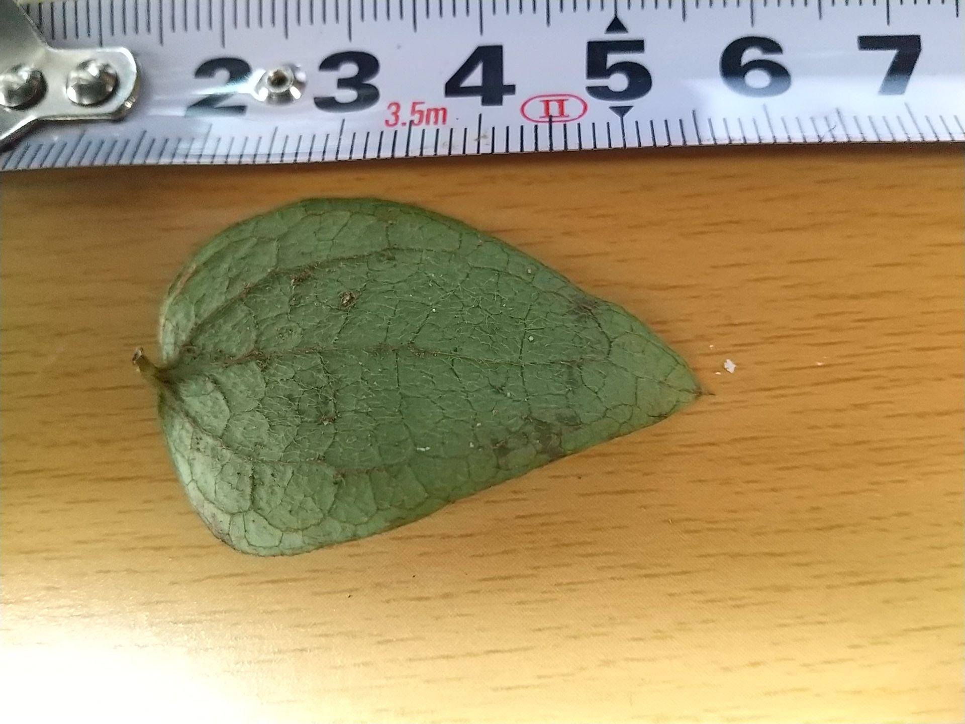 8)裏