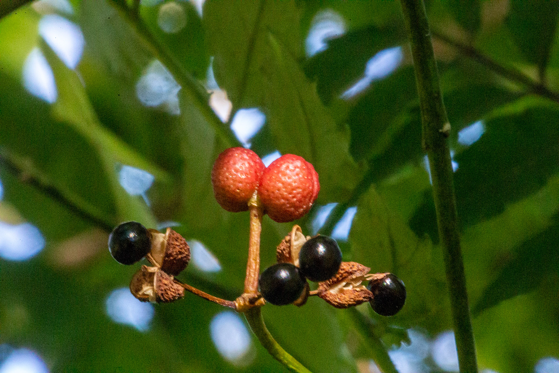 15)