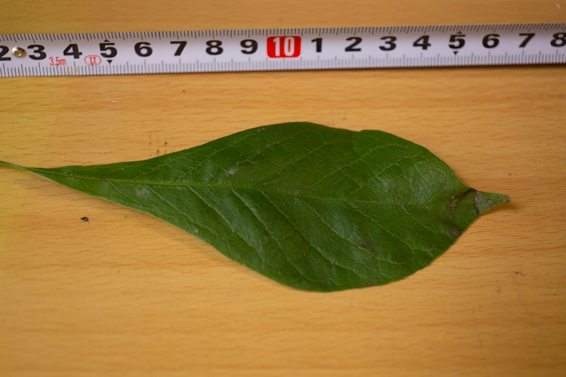 3)