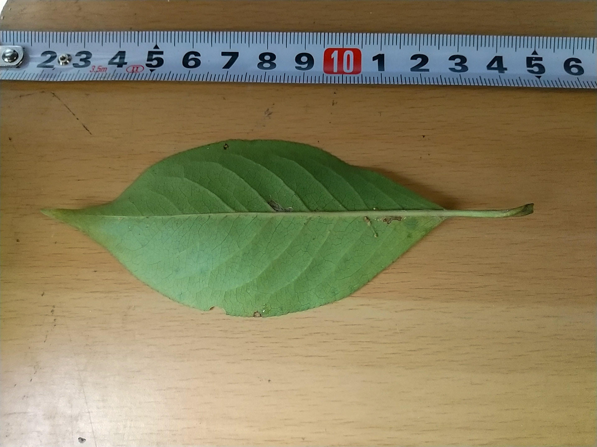 13)