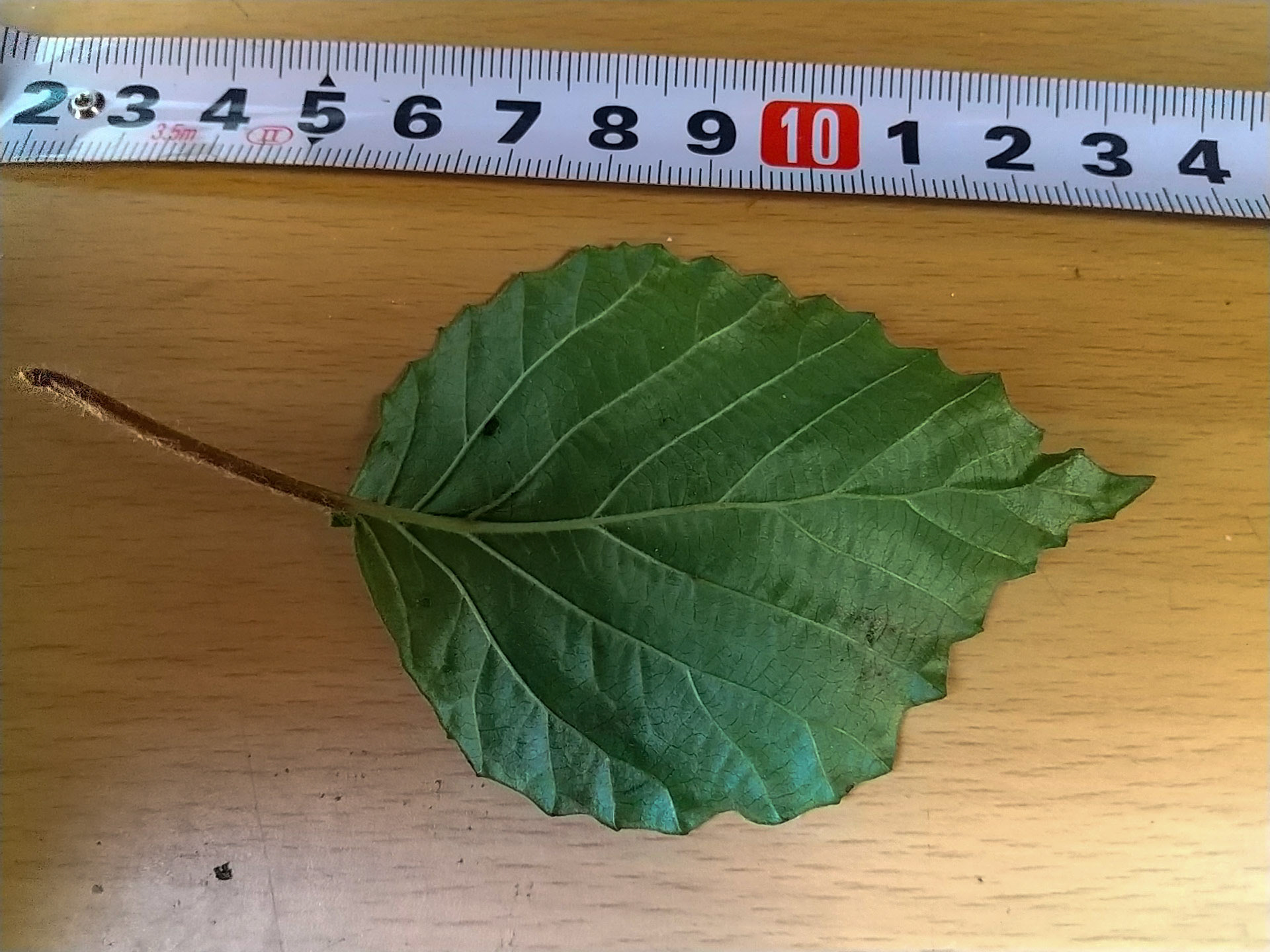 4)