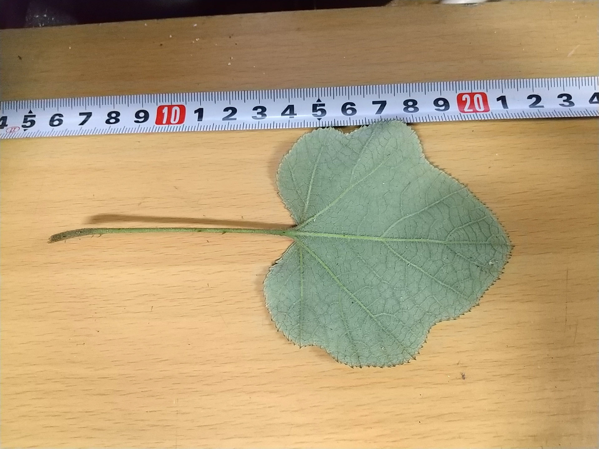 7)