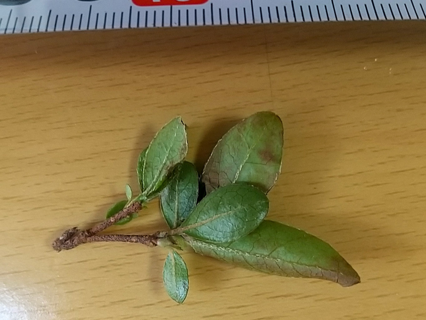9)