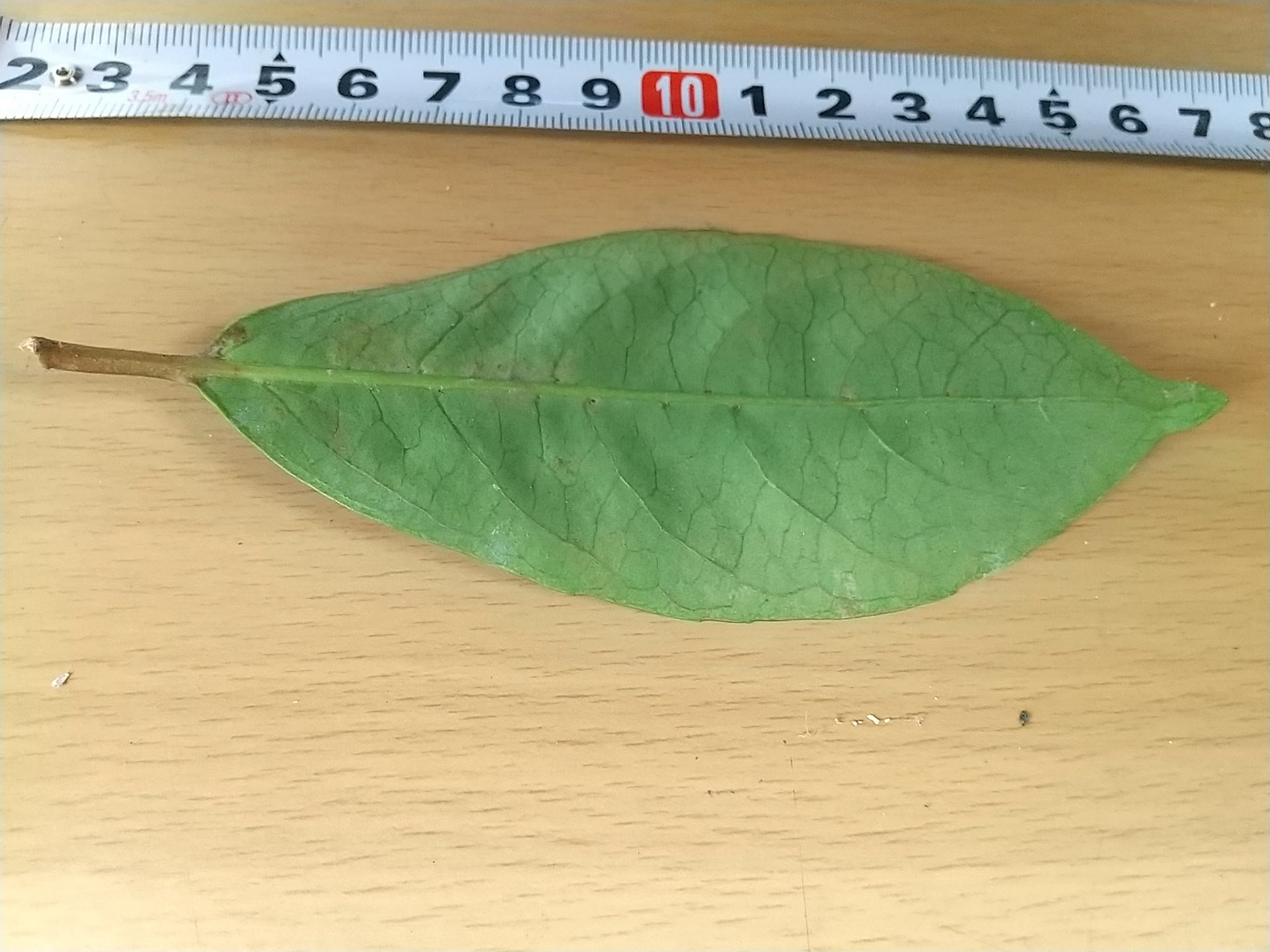 7)