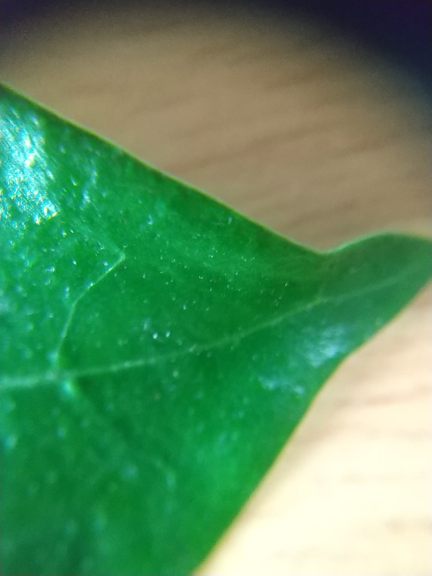 9)