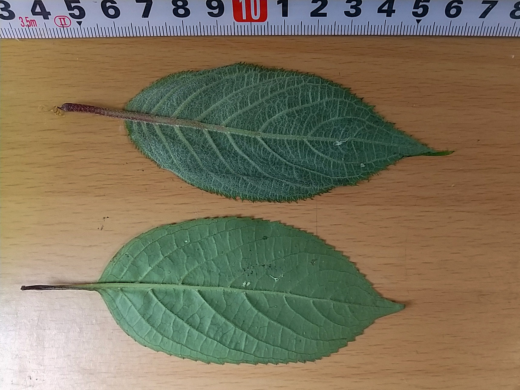 8)