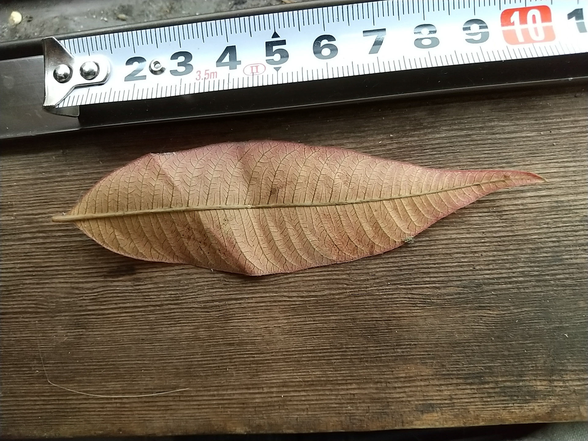 8)