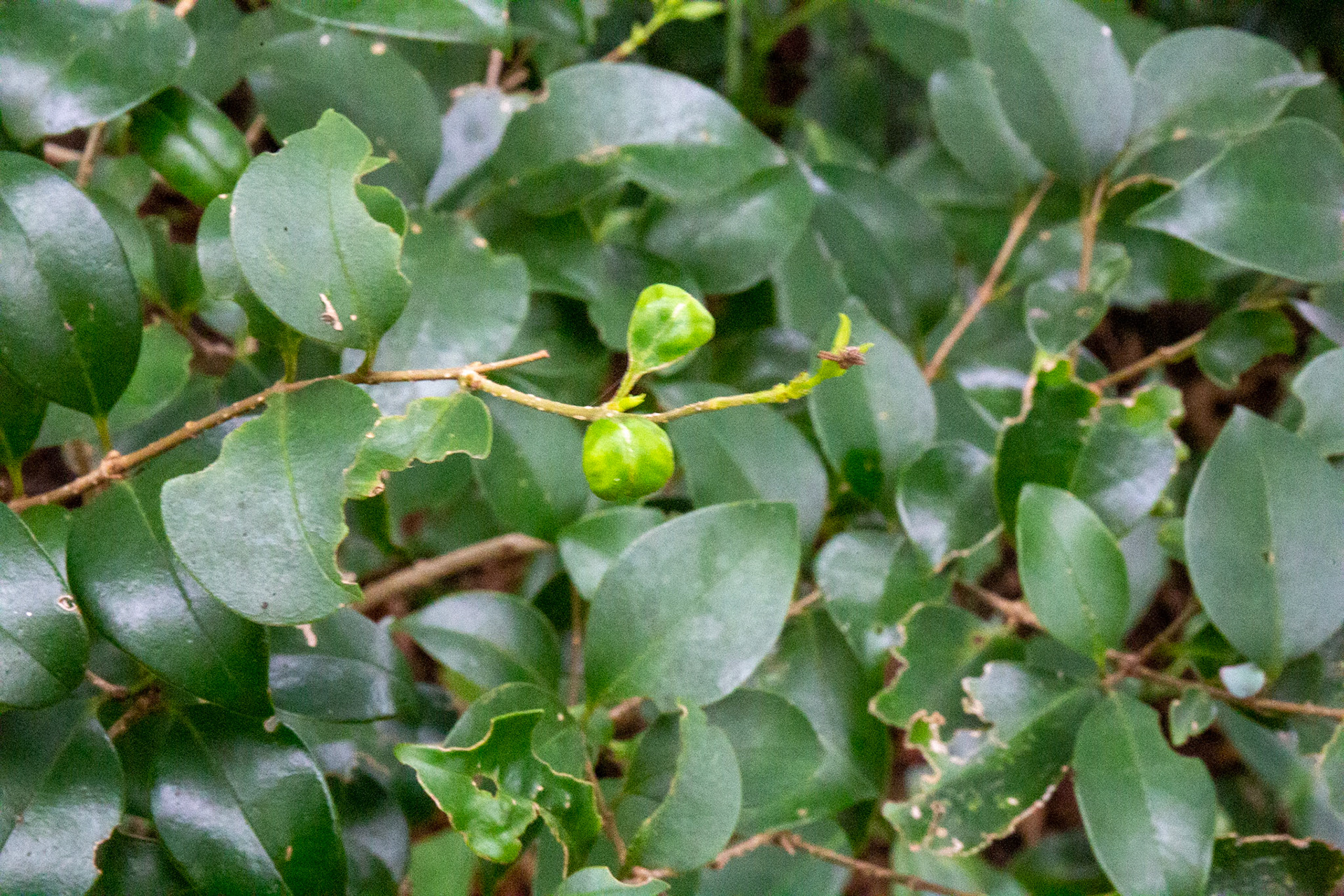 28)