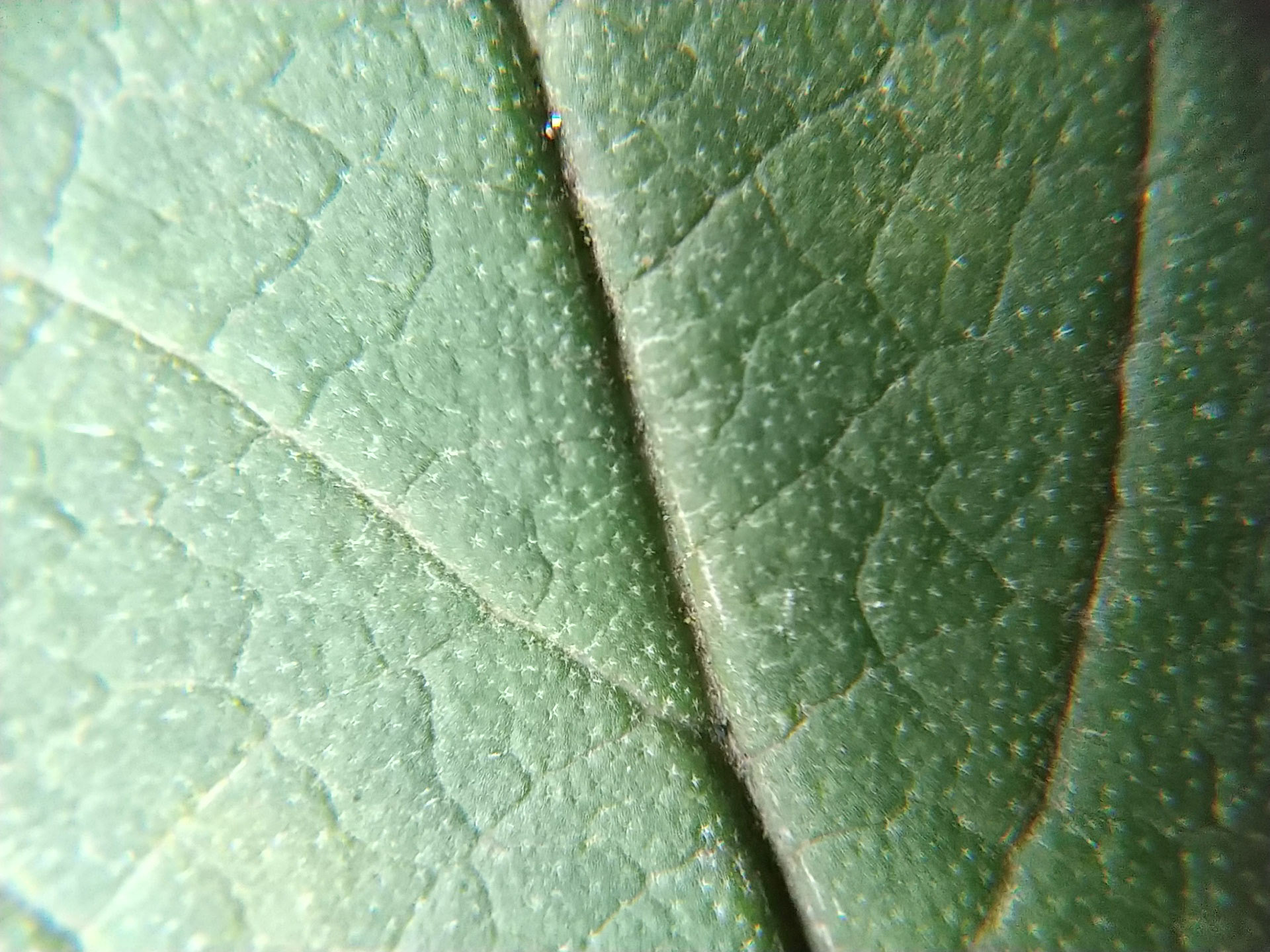 9)