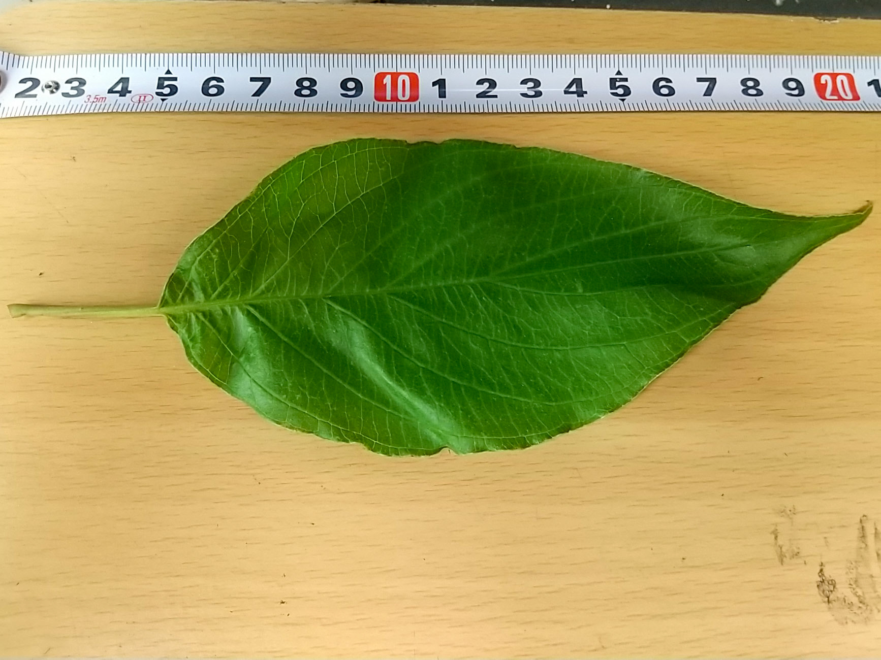 6)