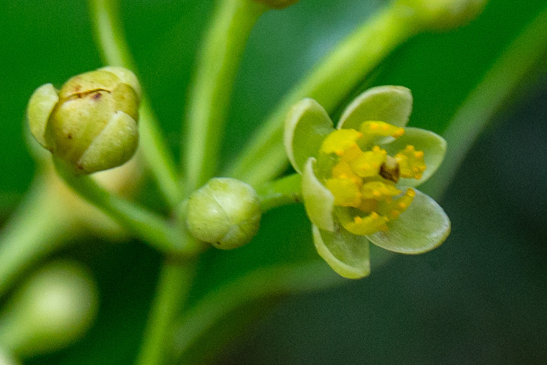 23)