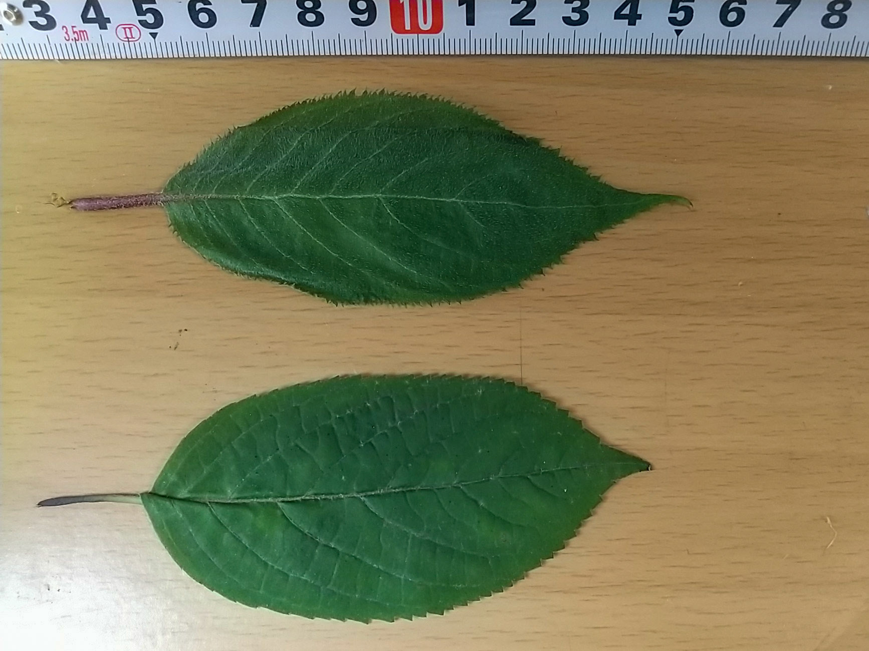 7)