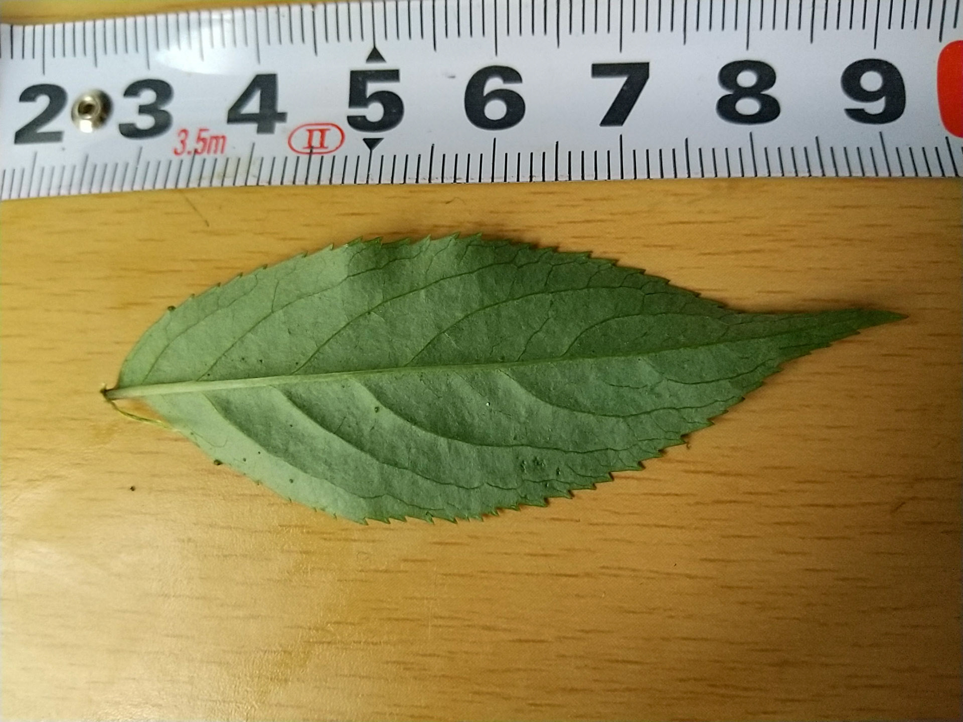 10)