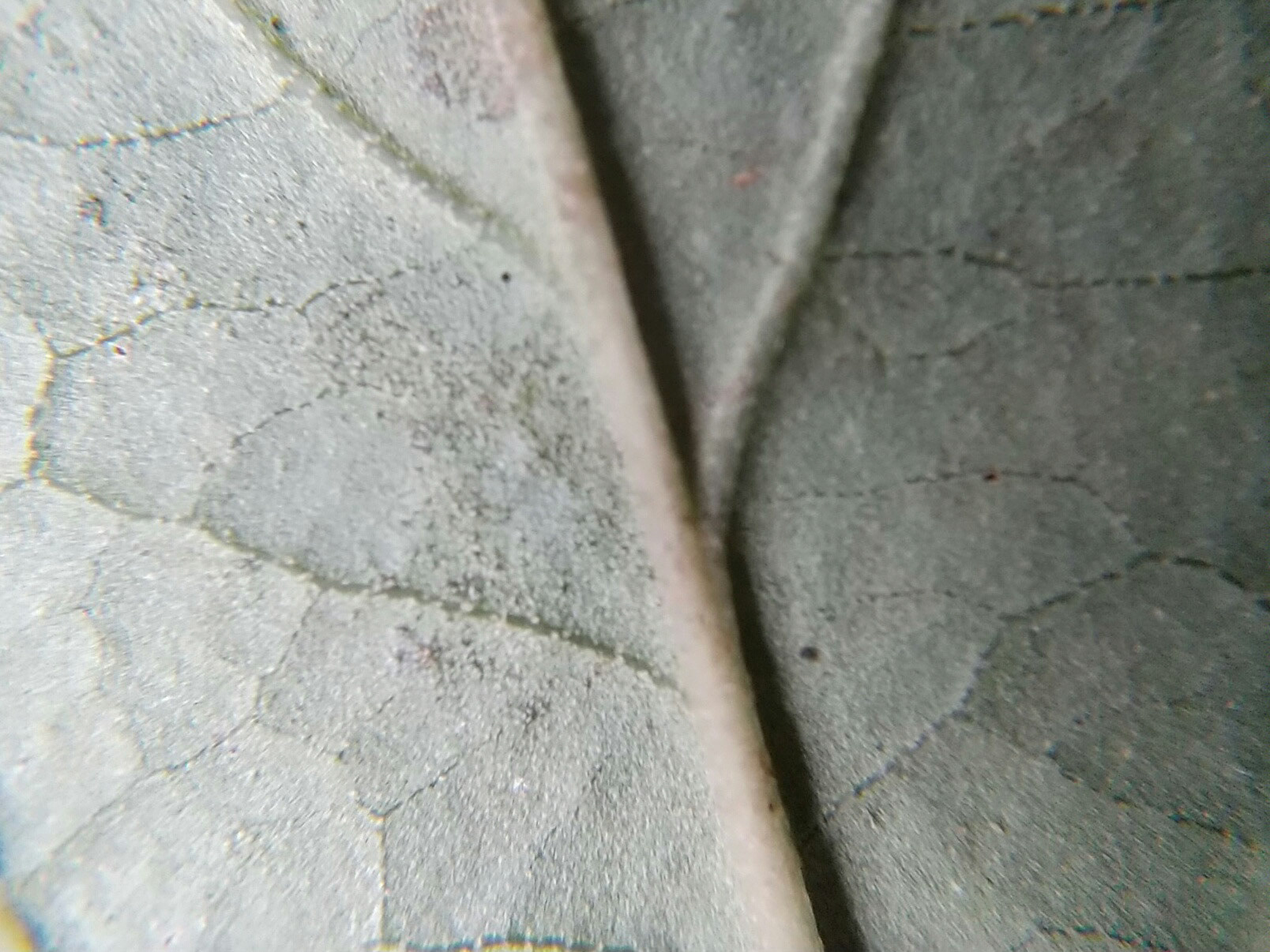 12)