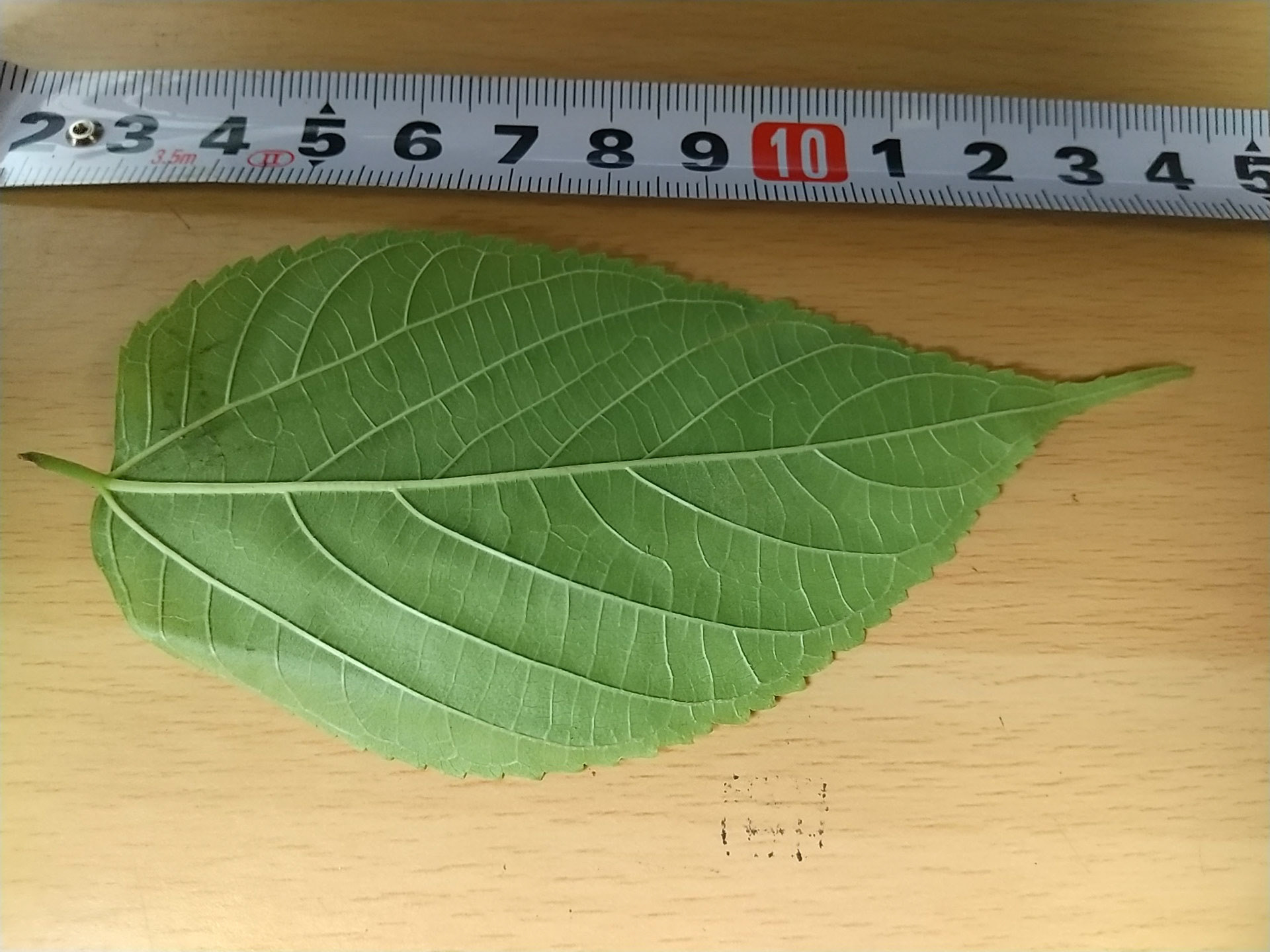 7)