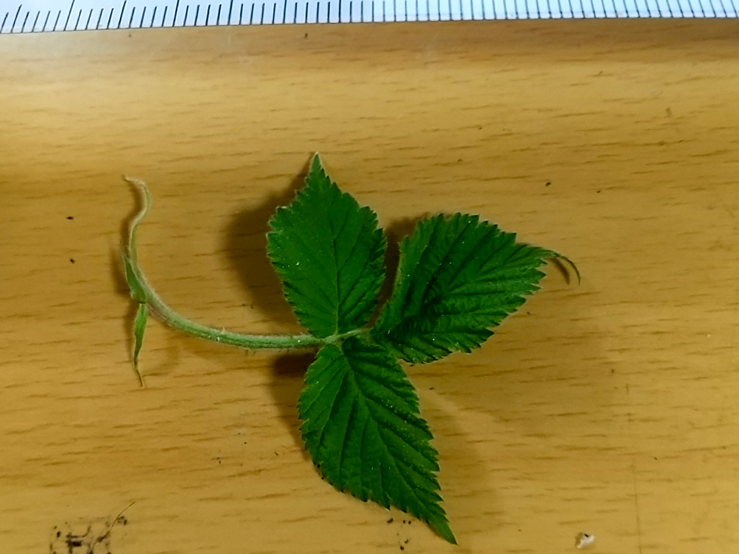 12)