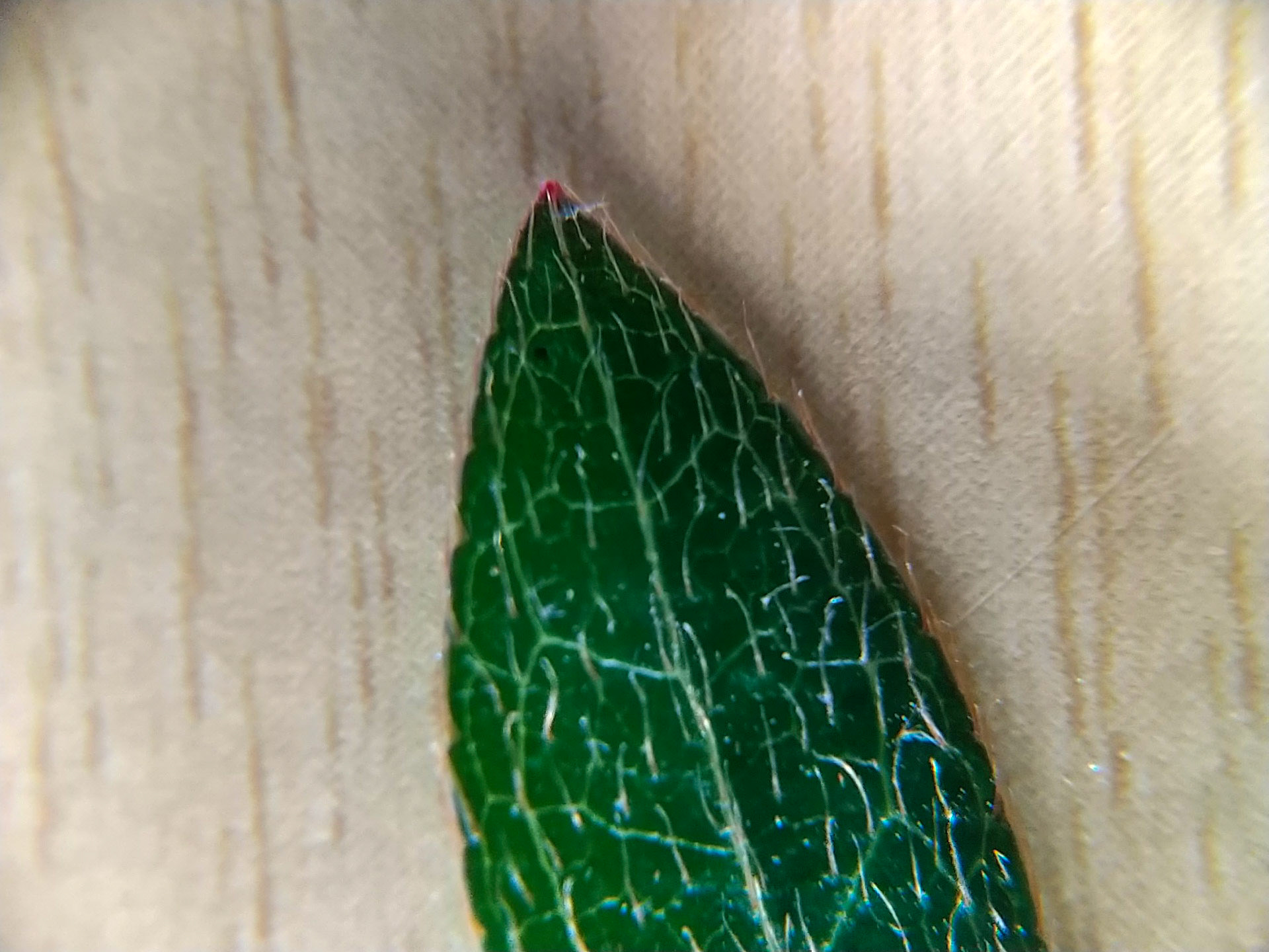 11)