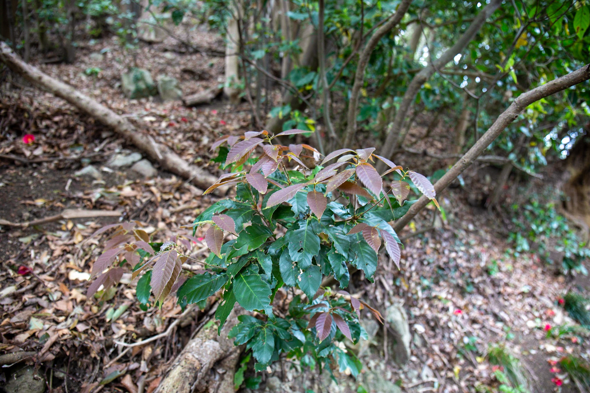 23)