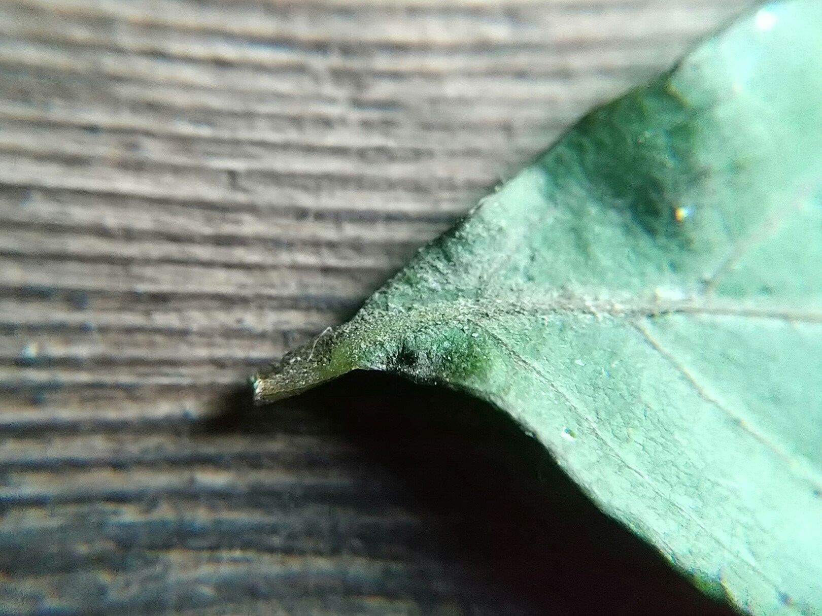 8)