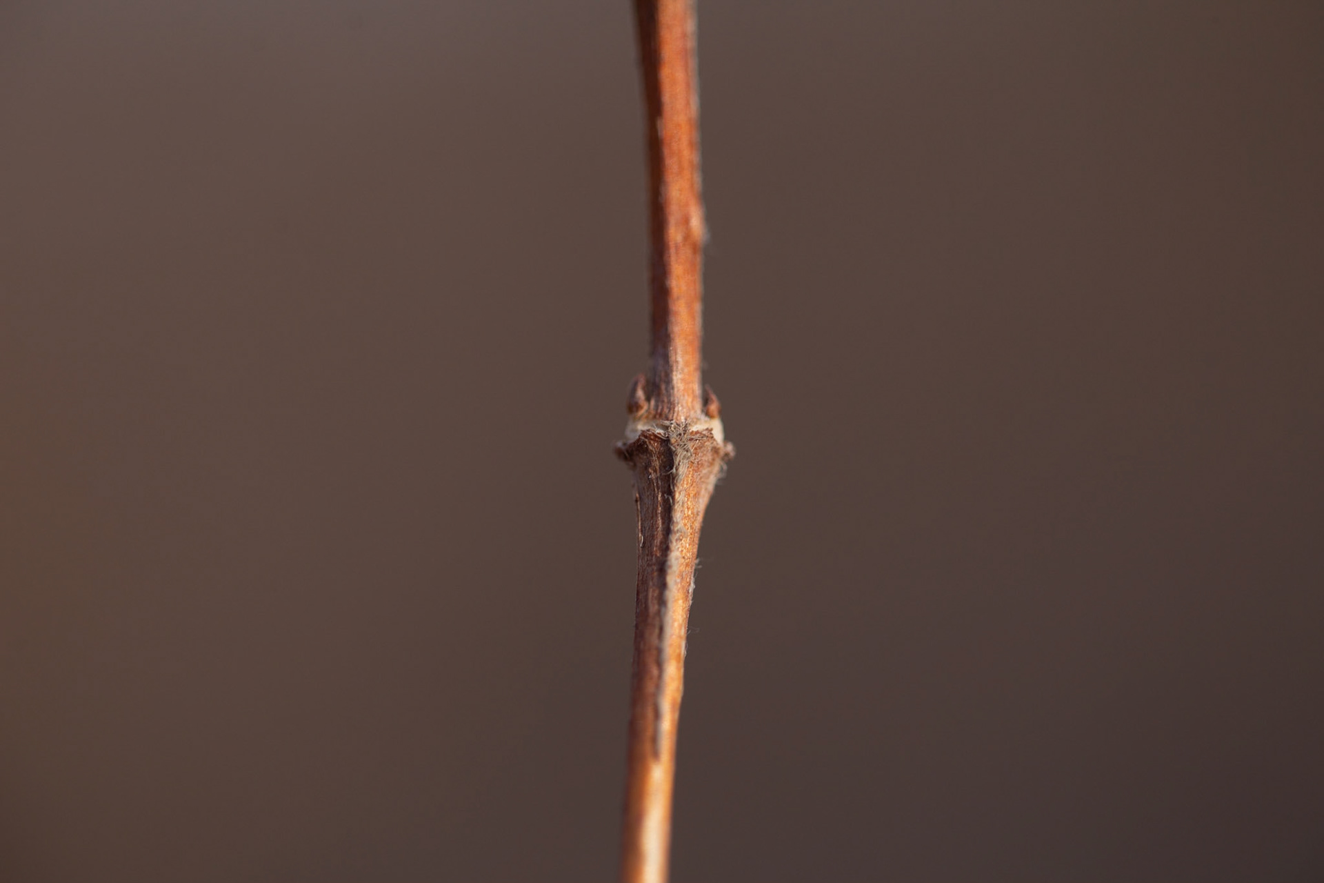 23)