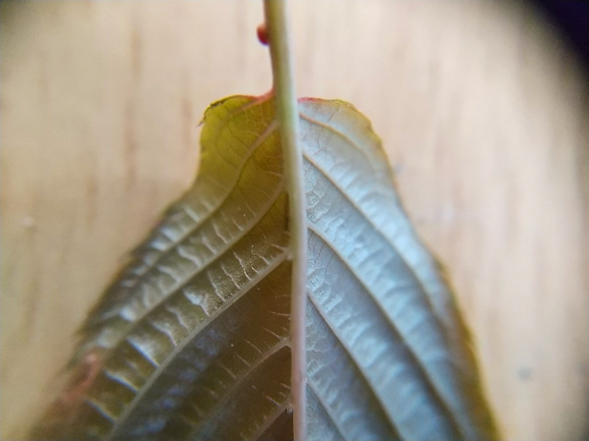 12)