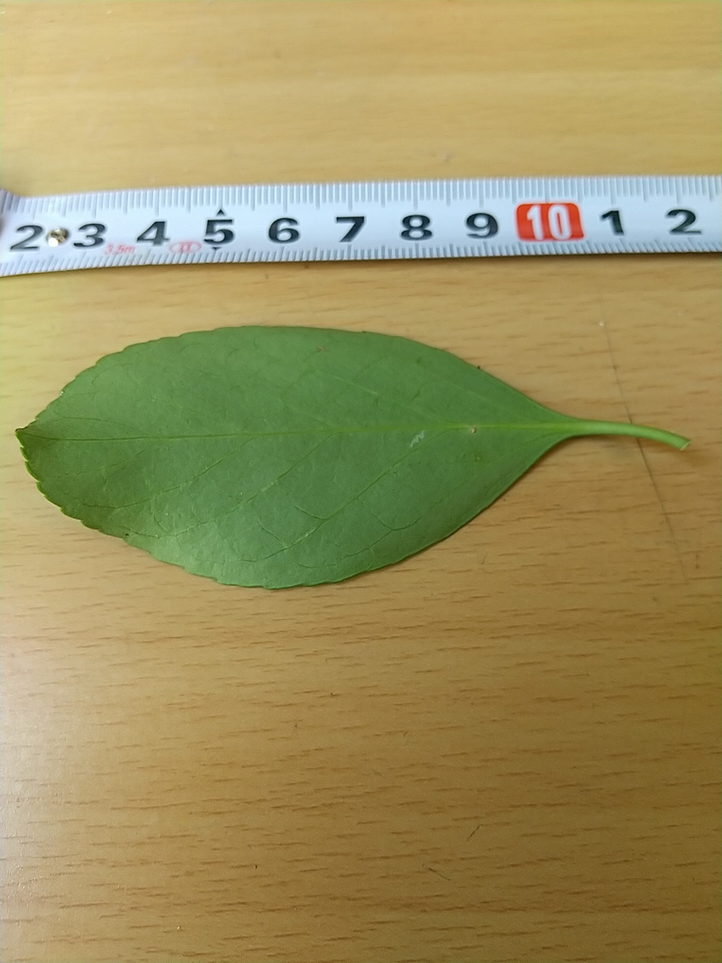 7)