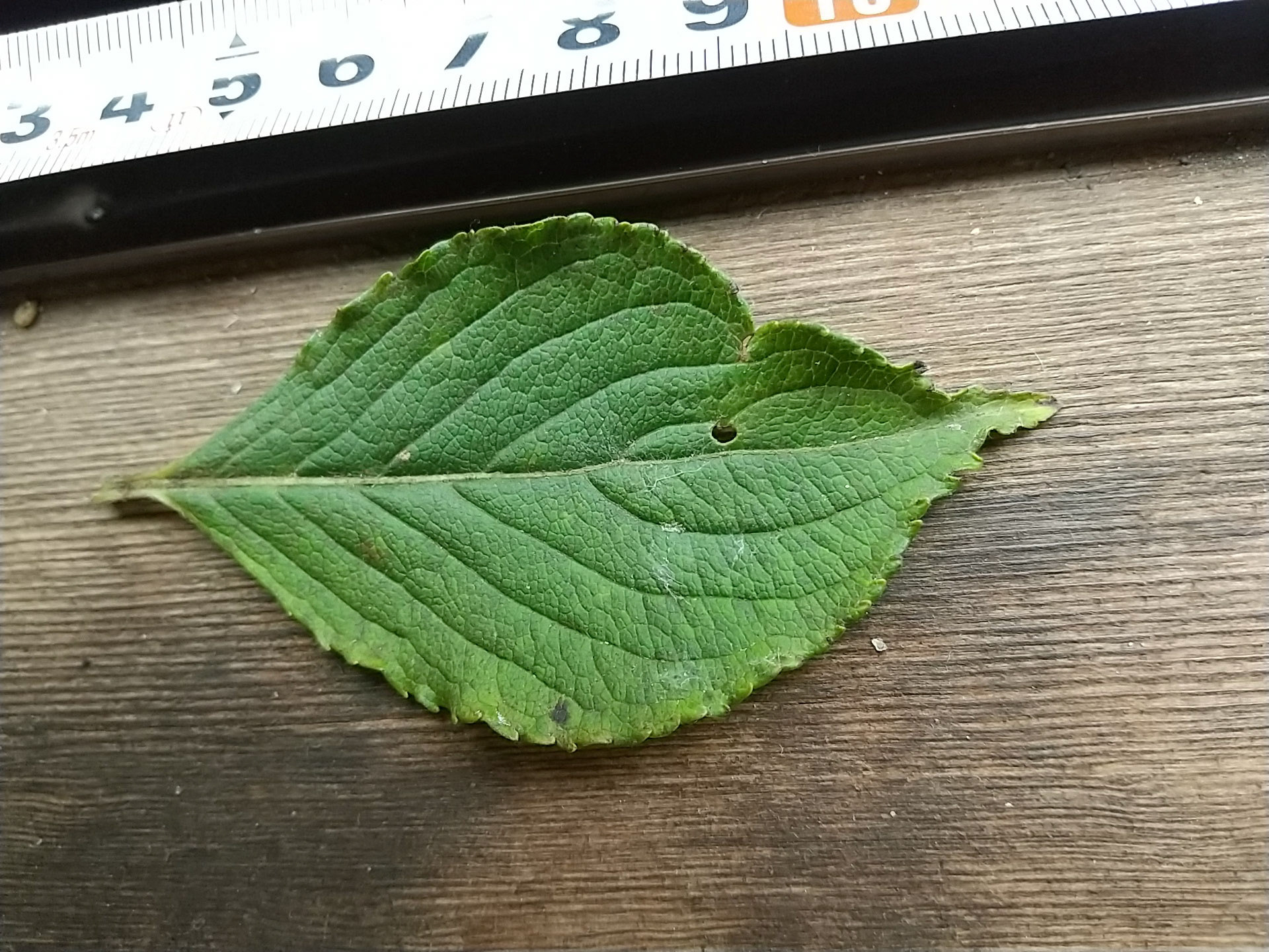 5)表