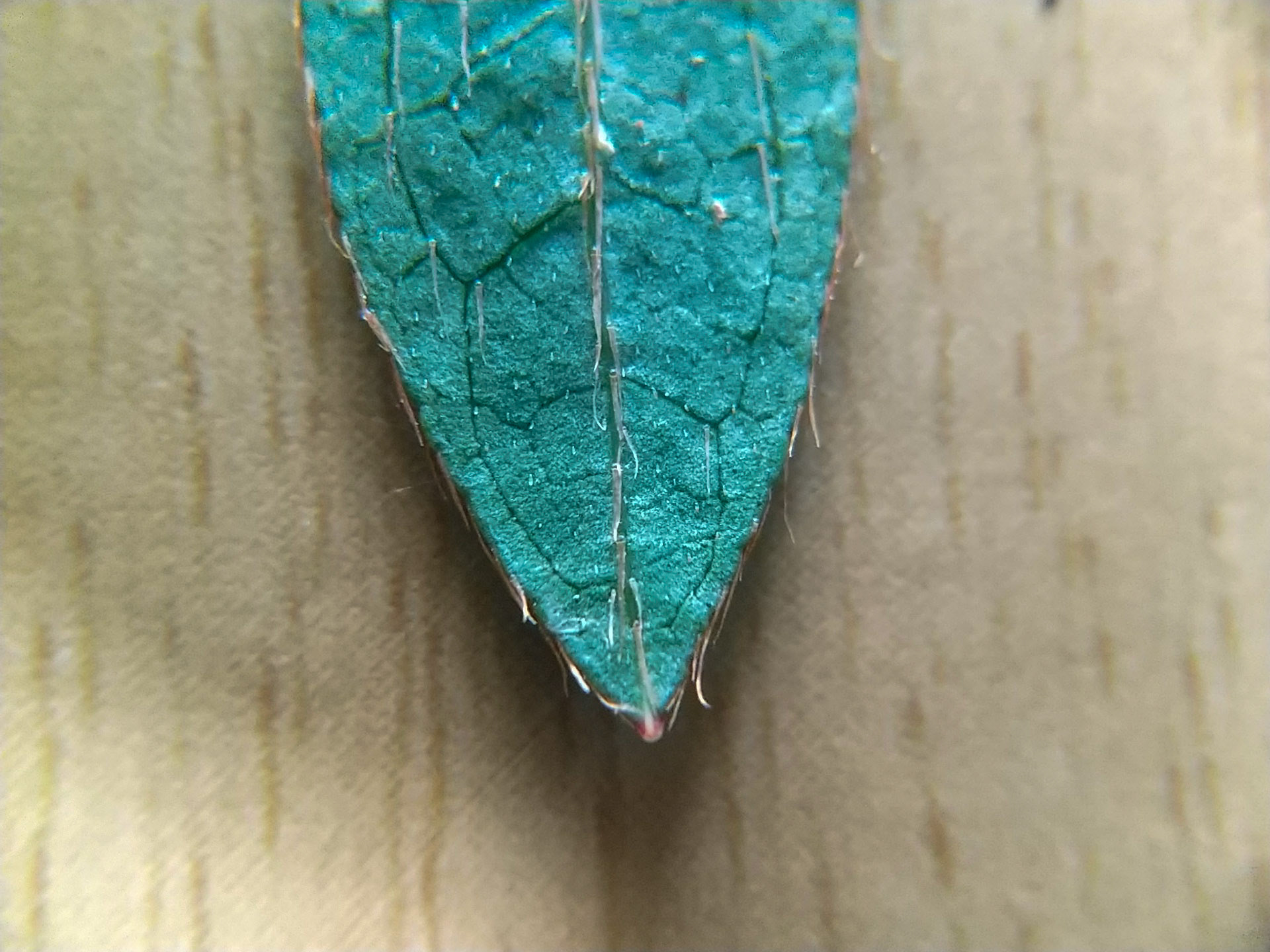 13)